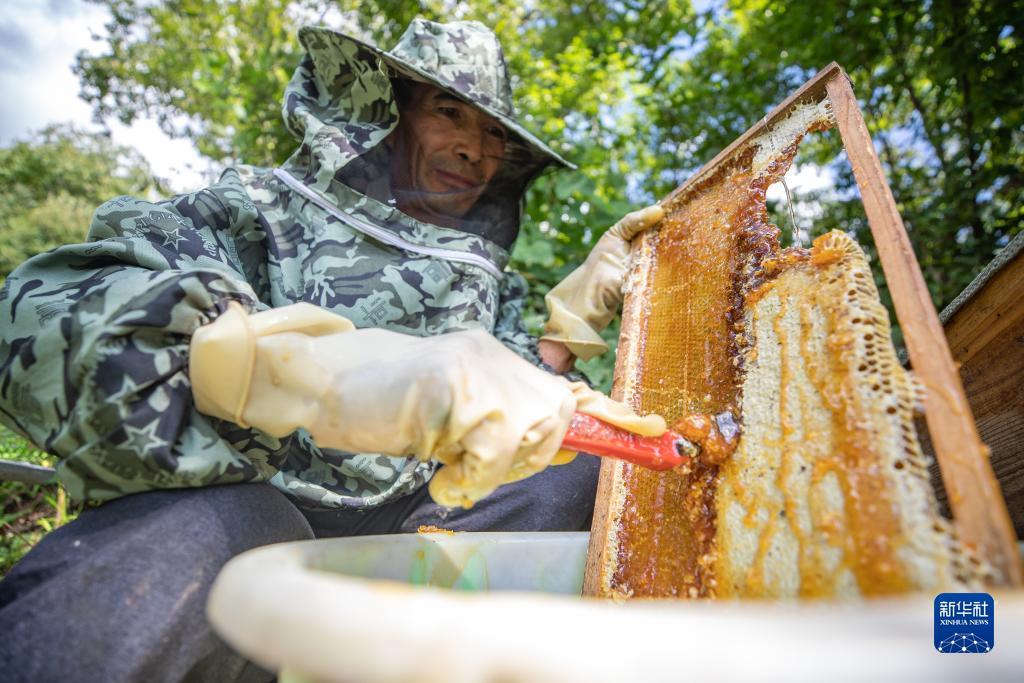菲律宾金盛隆集团怎样